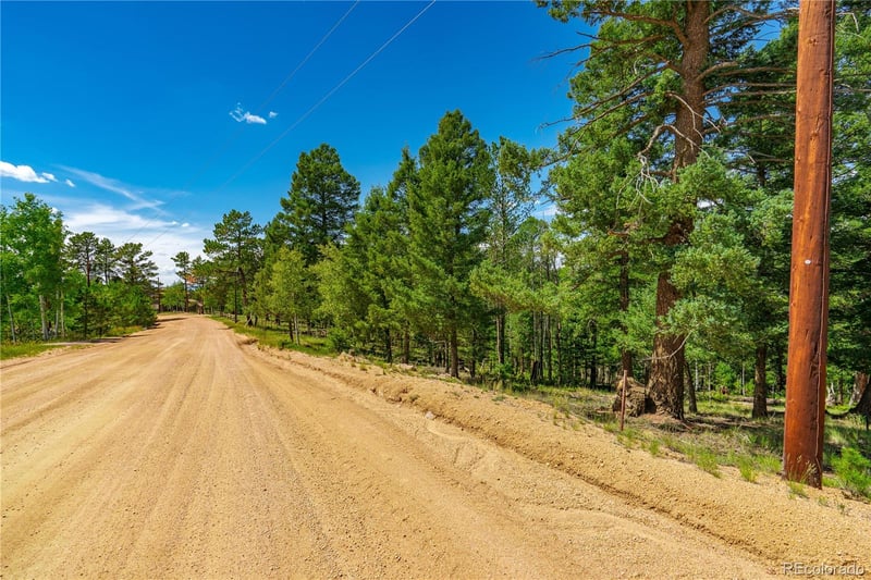 431 Cottonwood Lake Dr, Divide, CO 80814