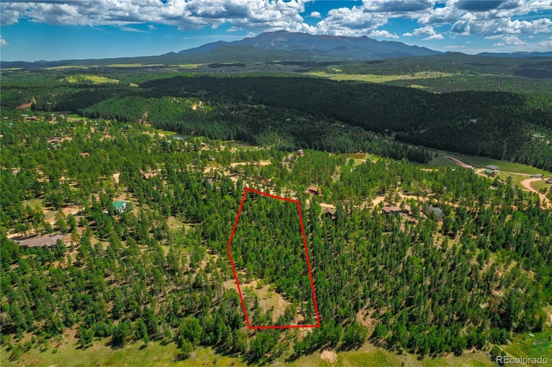431 Cottonwood Lake Dr, Divide, CO 80814