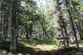 17577 Jackson, Black Hawk, CO 80422