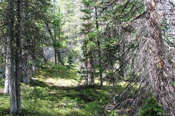 17577 Jackson, Black Hawk, CO 80422