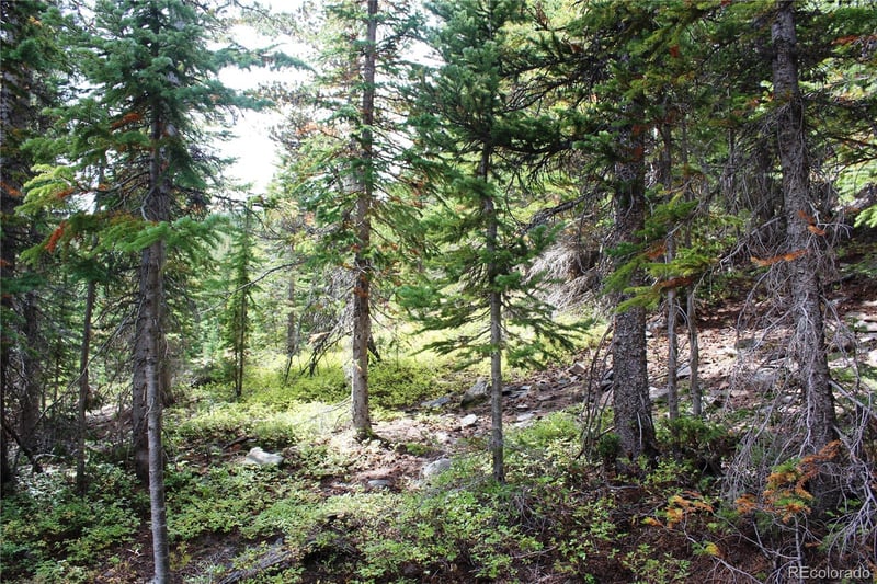 17582 Santa Clara #2 Lot 17852, Rollinsville, CO 80422