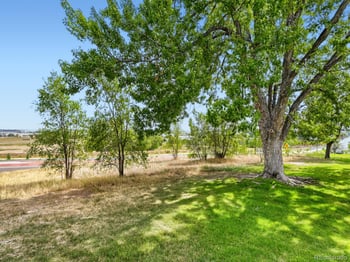 2283 Coronado Pw N #D, Thornton, CO 80229
