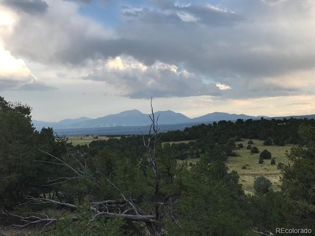 10365 Rawhide Creek Rd, Nathrop, CO 81236