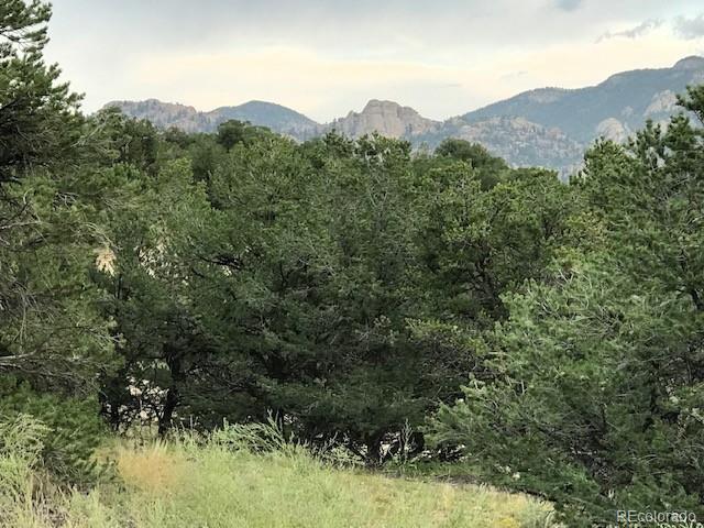 10365 Rawhide Creek Rd, Nathrop, CO 81236
