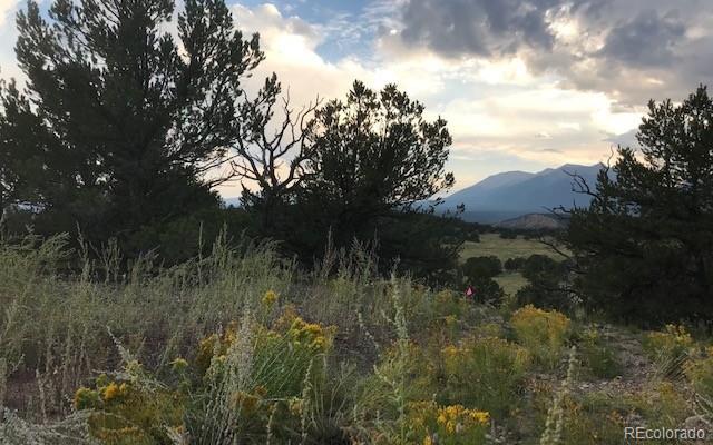 10365 Rawhide Creek Rd, Nathrop, CO 81236
