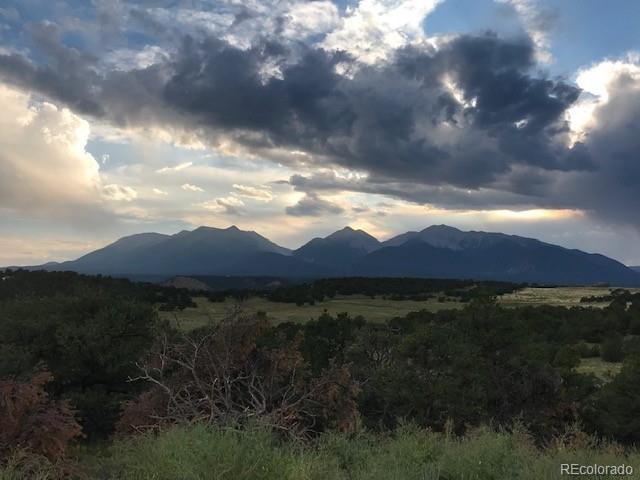 10365 Rawhide Creek Rd, Nathrop, CO 81236