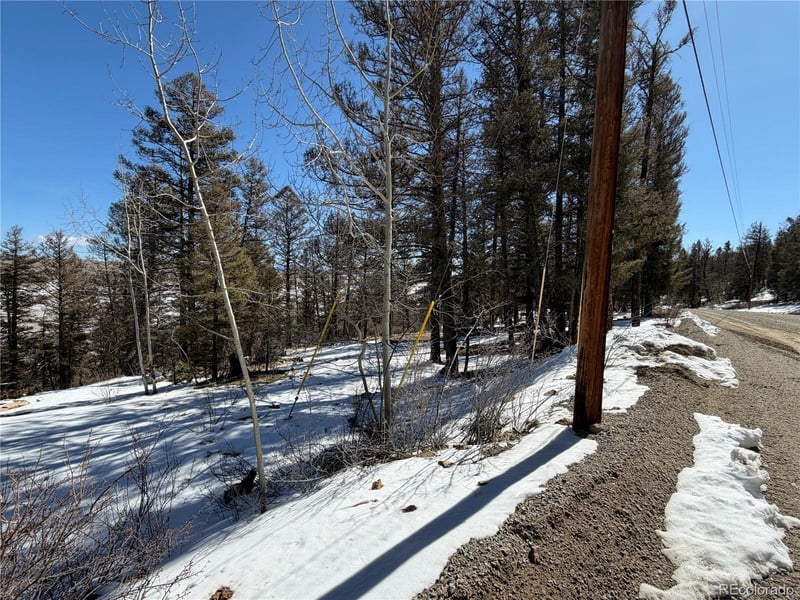 806 Middle Fork Vi, Fairplay, CO 80440