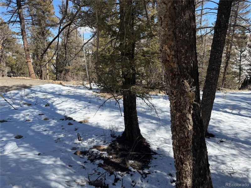 806 Middle Fork Vi, Fairplay, CO 80440