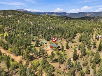 199 Elk Horn Ct, Bailey, CO 80421