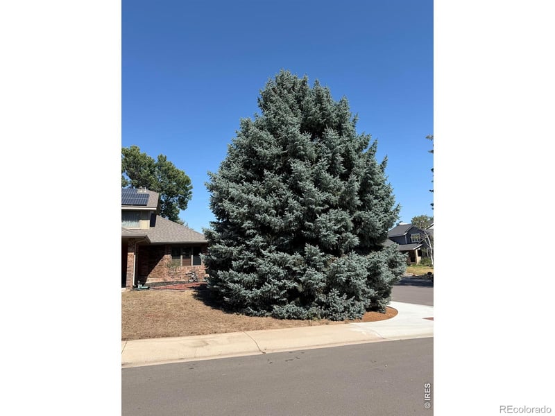 4501 23rd St, Greeley, CO 80634
