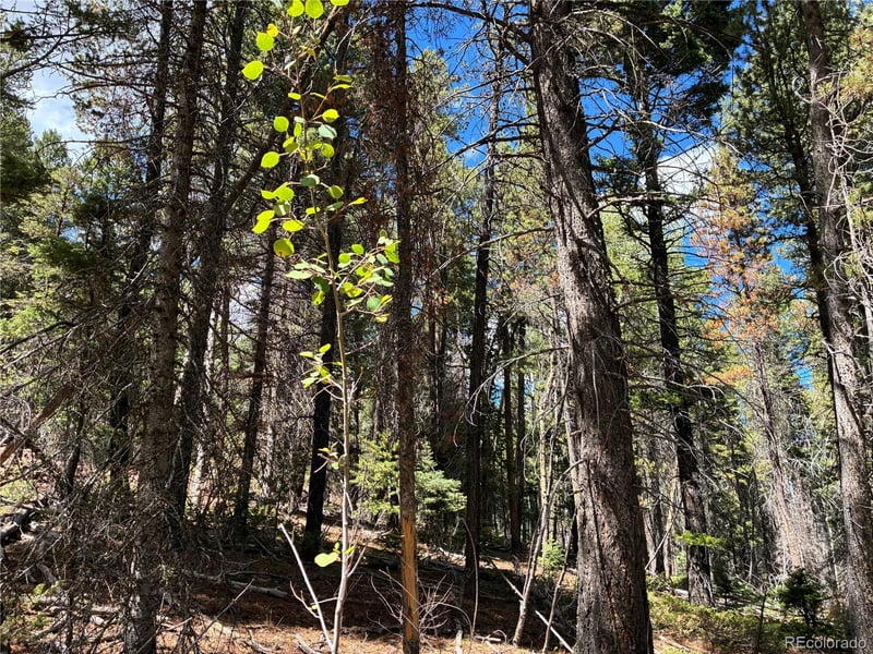LOT 2381 Benton Pl, Fort Garland, CO 81133