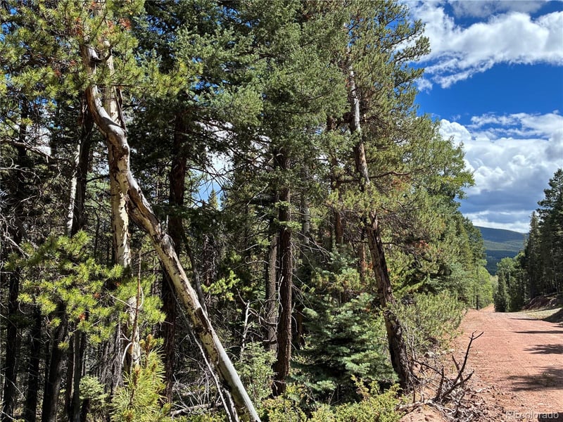 LOT 2381 Benton Pl, Fort Garland, CO 81133