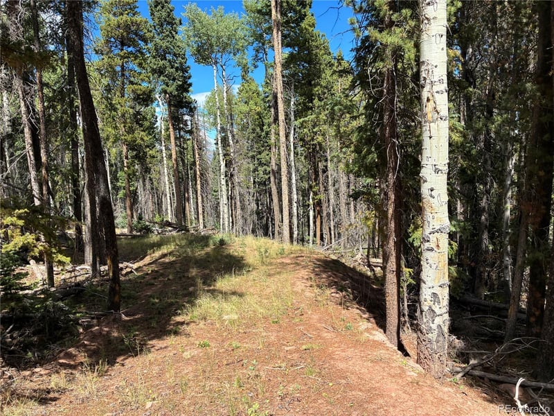 LOT 2381 Benton Pl, Fort Garland, CO 81133