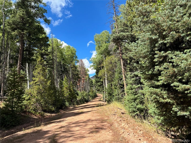 LOT 2381 Benton Pl, Fort Garland, CO 81133