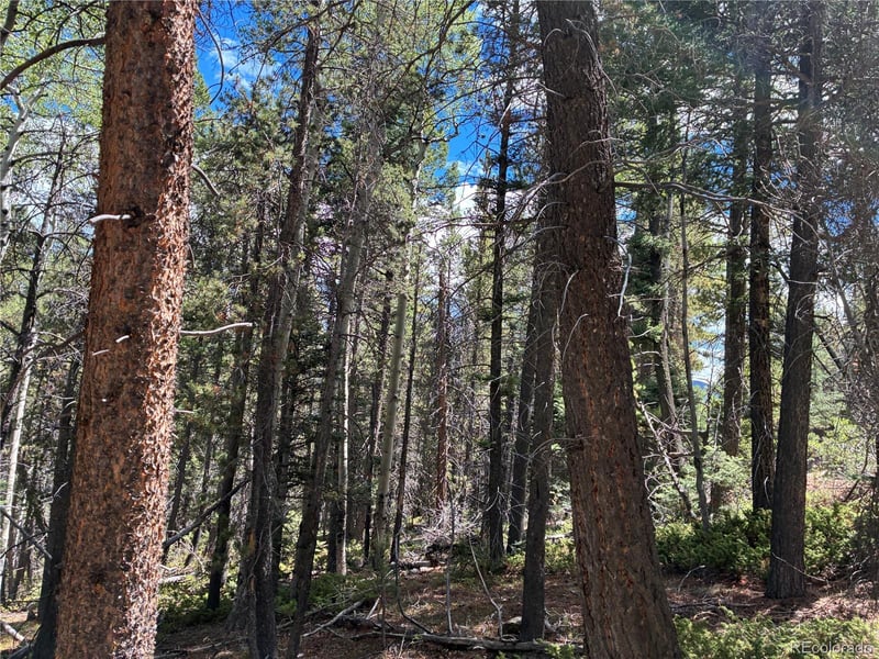 LOT 2381 Benton Pl, Fort Garland, CO 81133