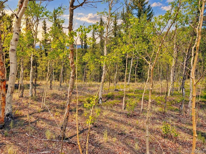 126 S Quarter Horse Rd, Como, CO 80432