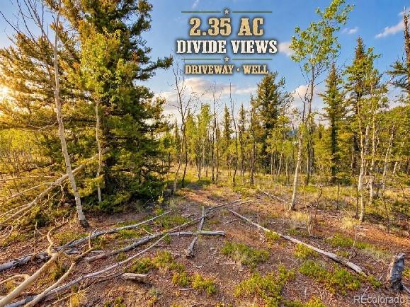 126 S Quarter Horse Rd, Como, CO 80432