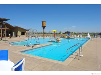 6467 Half Moon Bay Dr, Windsor, CO 80550
