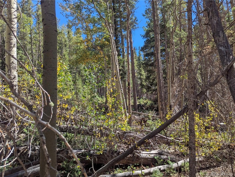 3244 Zipf, Fort Garland, CO 81133