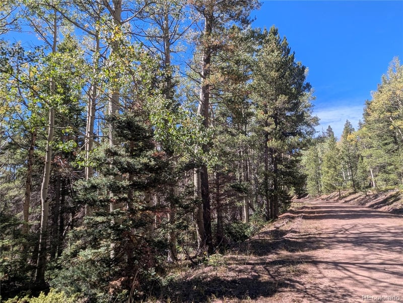 3244 Zipf, Fort Garland, CO 81133