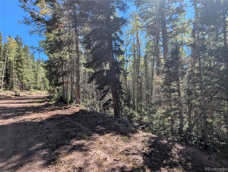 3244 Zipf, Fort Garland, CO 81133