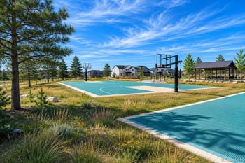 5647 Amarosa Dr, Parker, CO 80134