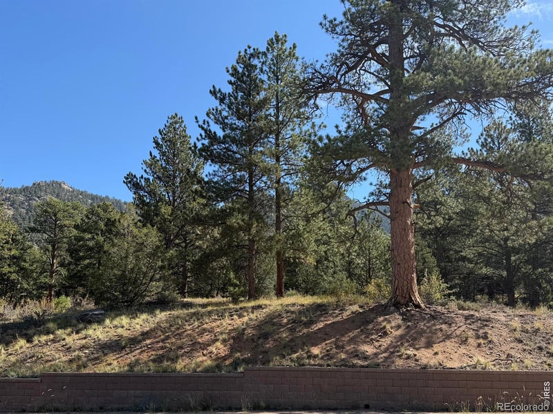 0 Fish Creek Rd, Estes Park, CO 80517