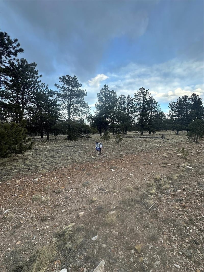 72 Sulky Ct, Hartsel, CO 80449
