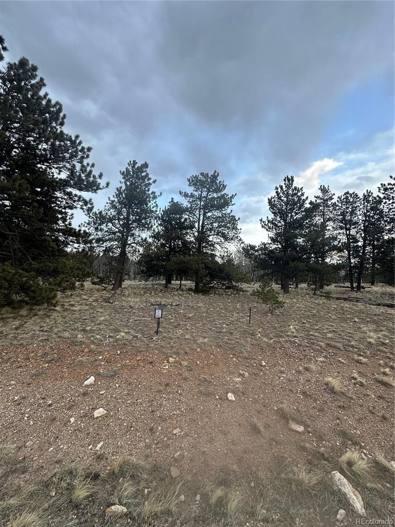 72 Sulky Ct, Hartsel, CO 80449