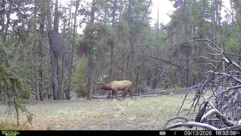 Ten High Ln, Alma, CO 80420
