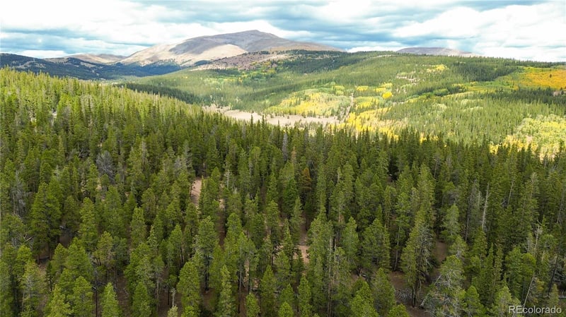 Ten High Ln, Alma, CO 80420