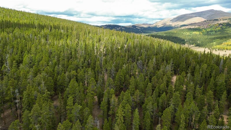 Ten High Ln, Alma, CO 80420