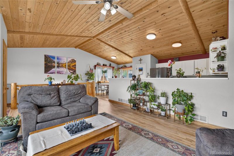 196 Conifer Dr, Bailey, CO 80421