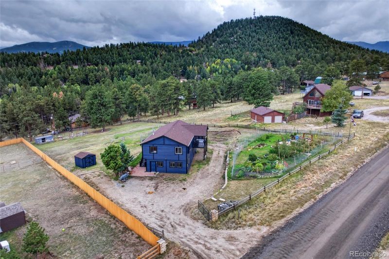 196 Conifer Dr, Bailey, CO 80421