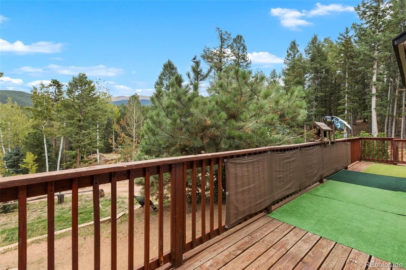 129 Kestrel Ct, Divide, CO 80814