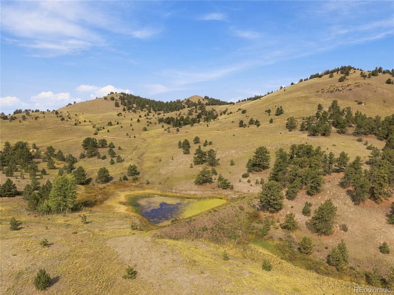 214 Betty Lou Rd, Guffey, CO 80820