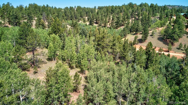 158 Rattler Ct, Cripple Creek, CO 80813
