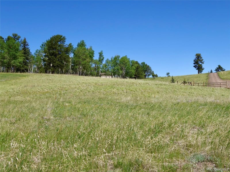 307 Pinaceae Hts, Divide, CO 80814