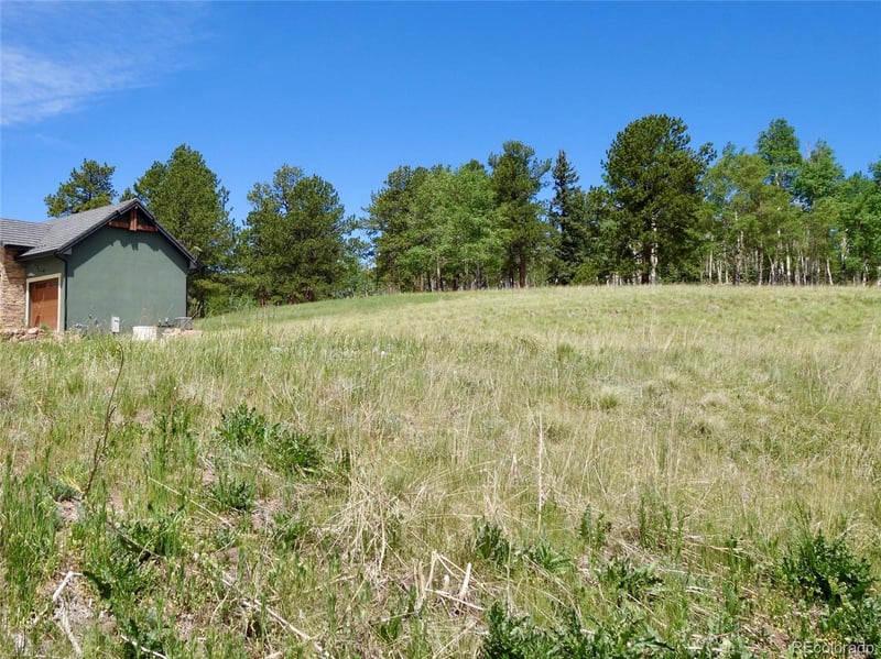 307 Pinaceae Hts, Divide, CO 80814