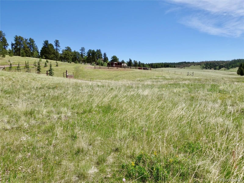 307 Pinaceae Hts, Divide, CO 80814