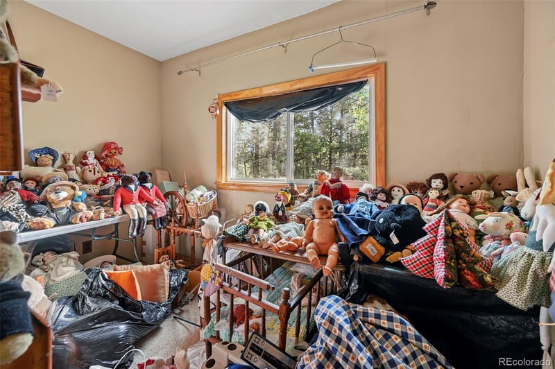 2659 Edlowe Rd, Woodland Park, CO 80863