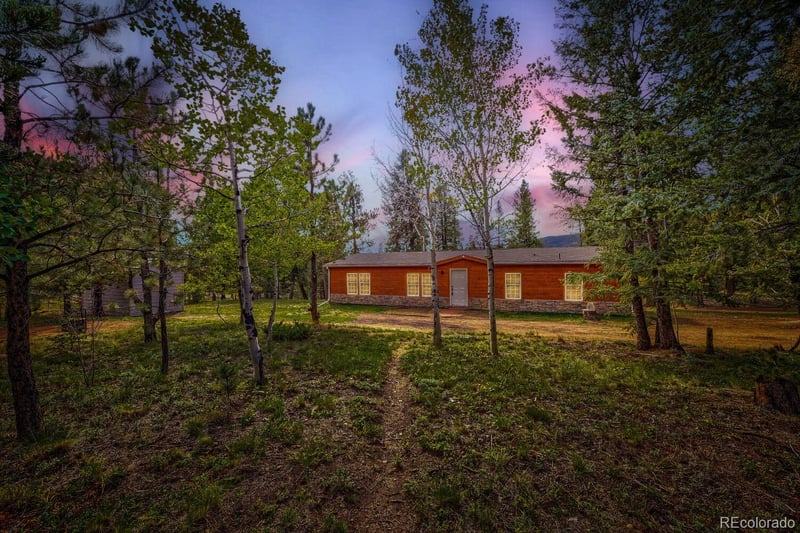 580 Forest Dr, Bailey, CO 80421