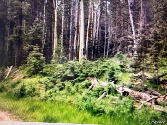 00 Drexler Pl Lot 2995, Fort Garland, CO 81133