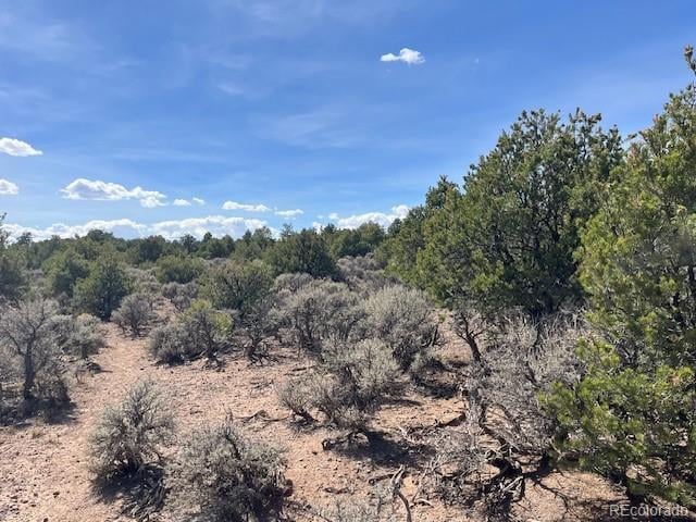 Wild Horse Drive Lot 26, San Luis, CO 81152