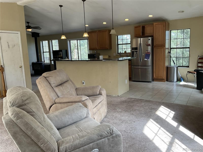 1365 Burland Dr, Bailey, CO 80421