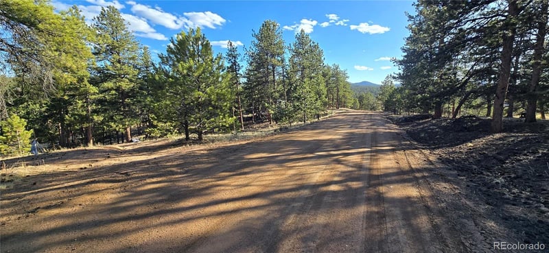 595 Mustang Trl, Florissant, CO 80816