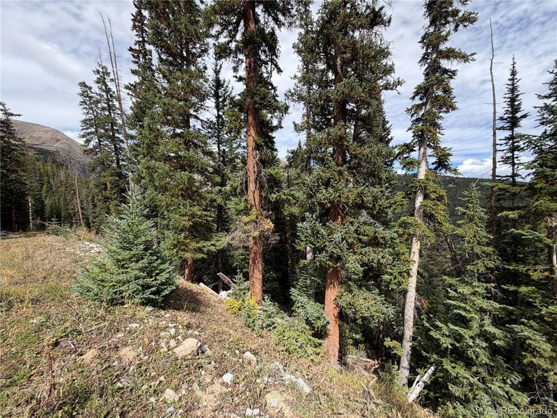 0605 Cr 805 Lot 4, Breckenridge, CO 80424
