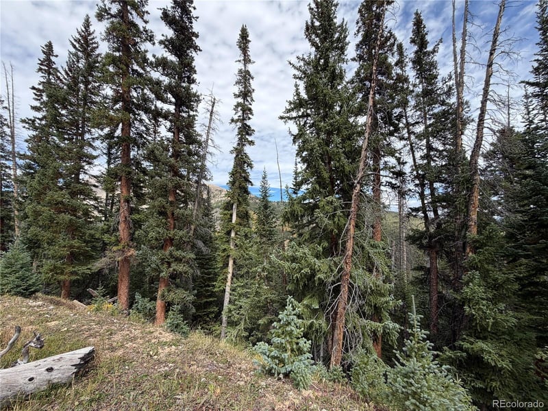 0605 Cr 805 Lot 4, Breckenridge, CO 80424