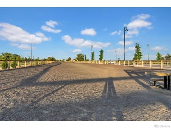 2716 San Cristobal Ct, Timnath, CO 80547
