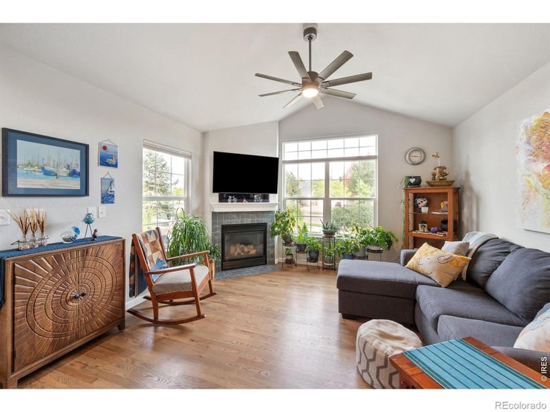 246 Habitat Cir, Windsor, CO 80550